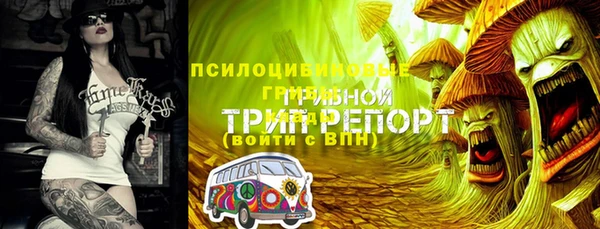 ALPHA PVP Алзамай