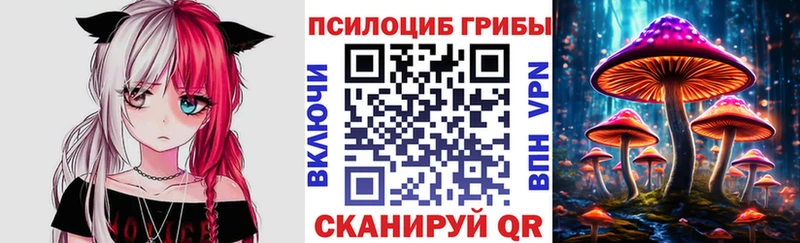 магазин  наркотиков  Мантурово  Псилоцибиновые грибы Psilocybine cubensis 